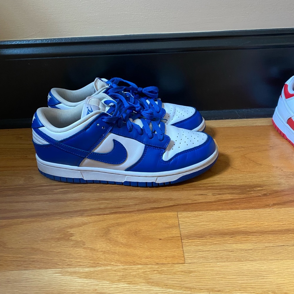 Mens Nike dunk size 10